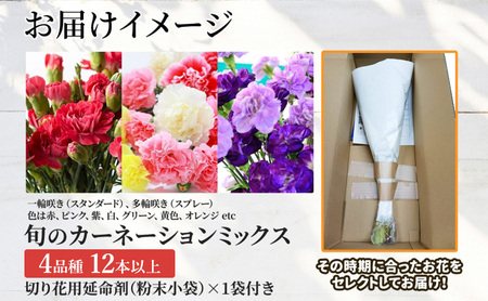 ＜選べる配送月＞ 北海道 カーネーション ミックス 4品種 12本以上 切り花 切花 花束 ブーケ 季節 旬 生花 フラワー アレンジメント 記念日 産地直送 つきがたふるさと花の会 6月お届け