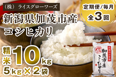 【令和8年産新米先行予約】【定期便3回毎月お届け】新潟県加茂市産コシヒカリ 精米10kg（5kg×2）《10月上旬～順次出荷》 白米 （株）ライスグローワーズ