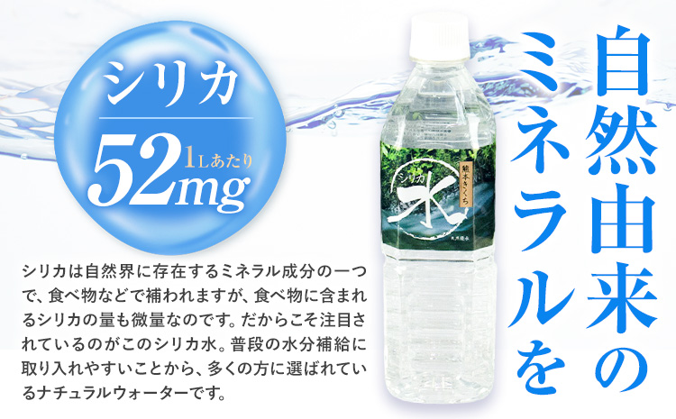 水 シリカ水 500ml × 48本 有限会社七城町特産品センター メロンドーム 《30日以内に出荷予定(土日祝除く)》 熊本県 菊池市 水 軟水 飲料 ドリンク 清涼飲料水 天然地下水 ペットボトル