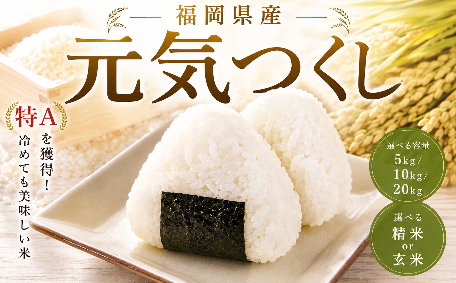 
                  【選べる】【令和7年度産】  元気つくし 5kg 10kg 20kg ブランド米 米 白米 玄米 選べる 国産 食味 白飯 ご飯 もちもち 特A評価 ひのひかり こめ お米 okome kome おむすび おにぎり弁当 美味しい 朝食 取り寄せ 魚 肉 の おかず にあう 福岡県 柳川市 宝物産
                