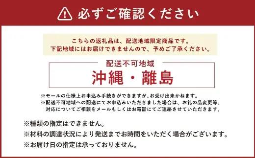 【 年6回定期便1ヶ月毎 】 国産小麦100%！會ベーグルの人気3種10個セット （ プレーン ・ 全粒粉 ・ もち麦 ） ベーグル 手作り パン ベーグル専門店 食品添加物不使用 冷凍ストック スト
