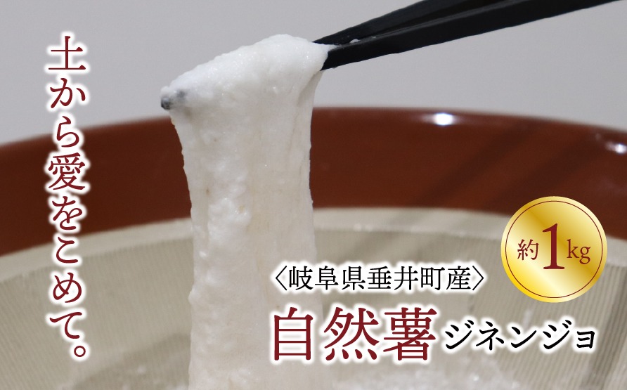 AI-1-R7-z 【岐阜県垂井町産】自然薯（ジネンジョ） 約1kg 化粧箱入り