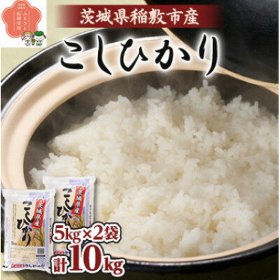 【ふるさと納税】【毎月定期便】茨城県稲敷市産こしひかり10kg(5kg×2) 全3回【配送不可地域：離島・沖縄県】【4084487】