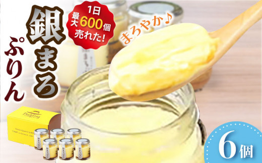 銀まろぷりん6個セット プリン 高級卵 すっきり デザート 洋菓子 お菓子 スイーツ 高級感 甘い 冷凍 バレンタイン ホワイトデー 広川町 / イートウェル株式会社 [AFAK270]