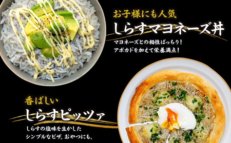 しらす 1kg ( 1kg × 1箱 ) 冷凍 贅沢 ちりめん しらす干し 減塩 極み ごはん 丼 パスタ チャーハン サラダ 魚 料理 山庄 愛知県 南知多町 師崎