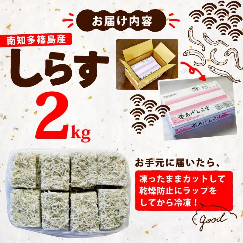 釜揚げ しらす 2kg 冷凍 テルニ商店 SIRASU 人気シラス 愛知県 南知多町 ご飯 ごはん 離乳食 丼 料理 国産 シラス 栄養 人気 おすすめ シラス しらす しらすごはん パスタ トースト