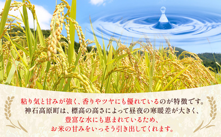 令和7年産 米 5kg 白米 お米 5キロ 神石高原応援米《10月上旬-12月上旬頃出荷予定(土日除く)》