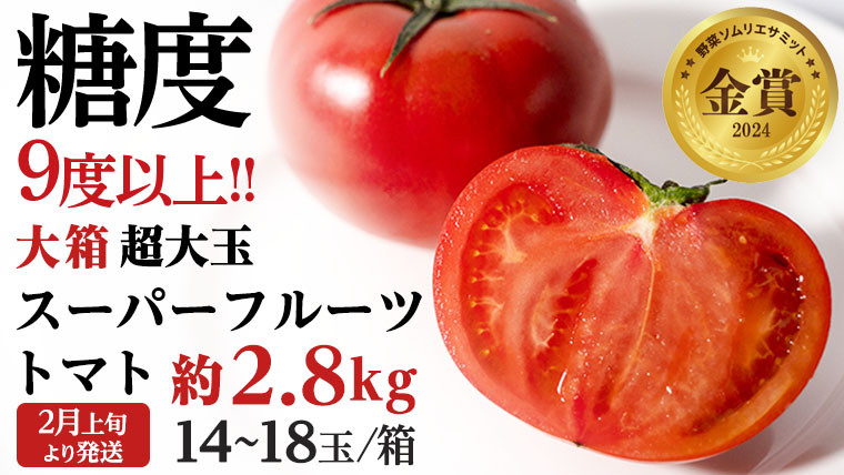 
            《 2026年収穫分 先行予約 》 糖度9度以上 超大玉 スーパーフルーツトマト 大箱 約2.8kg × 1箱 (14～18玉/1箱) フルーツトマト ブランドトマト 野菜 ギフト 贈答 [BC011sa]
          