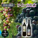 【ふるさと納税】つくば市 筑波山麓産ワイン2本セット　ビーズニーズヴィンヤーズ／Bee's Knees Vineyards | 茨城県 つくば市 ワイン お酒 酒 果実酒 ブドウ 白ワイン 赤ワイン 日本ワイン 国産ワイン ワイン専用ブドウ品種 国産 つくば市産 茨城県産 飲み物 飲料