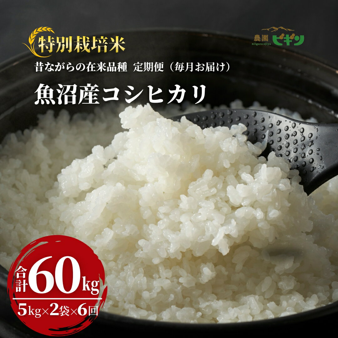 【ふるさと納税】令和7年産 昔ながらの魚沼産コシヒカリ 精米60kg(5kg×2袋×毎月全6回) 農園ビギン【0002-BN16DB00-01】