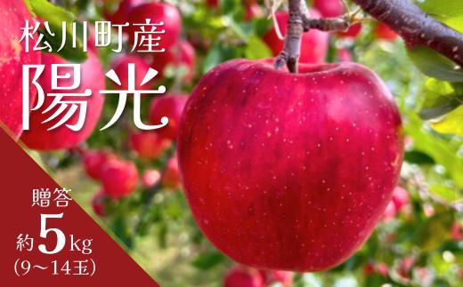 
            KR21-25A りんご 陽光 贈答 約5kg（9〜14玉） / 10月中旬頃～配送予定 // 長野県 南信州 ギフト リンゴ 林檎 農家直送 農家支援 産地直送
          