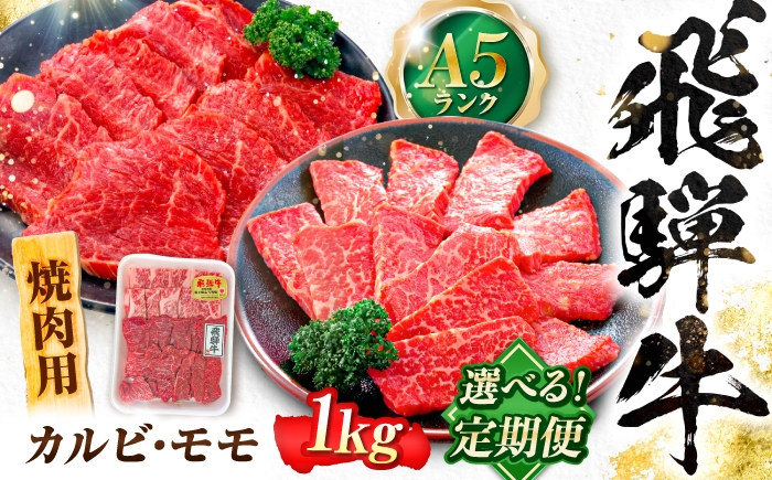 
                  【選べる定期便回数】飛騨牛 A5等級 焼肉用 カルビ・モモ 1kg 牛肉 肉 お肉 焼き肉 BBQ 岐阜市 / 肉の松久 [ANIP030]
                