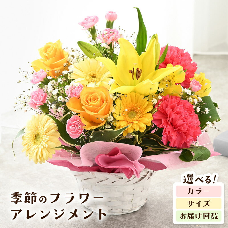 【ふるさと納税】 季節のフラワーアレンジメント 選べる3サイズ (S/M/L) 【選べる配送回数：単品 / 定期便】【カラー：レッド・ピンク / イエロー・オレンジ / カラフル】 【お花 フラワー 花束 ギフト 生花 プレゼント 花束 花 記念日 敬老の日 お祝い】