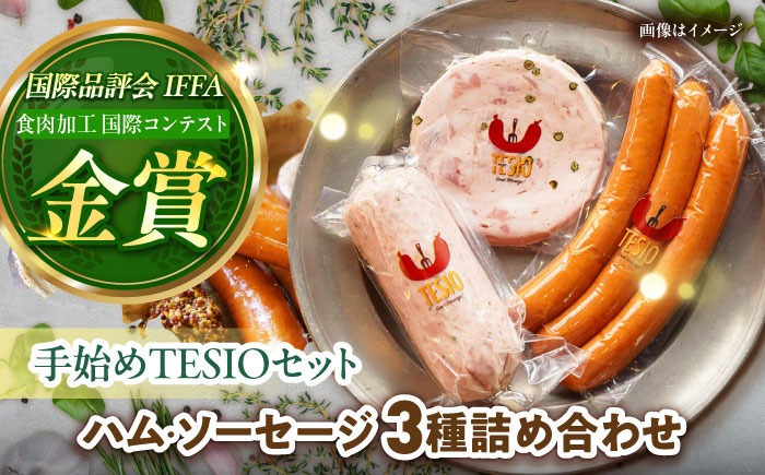 TESIOの自家製ハム＆ソーセージ 『手始めTESIOセット』 豚肉 ハム ソーセージ 小分け 真空パック 沖縄市 / TESIO[BCAD001]
