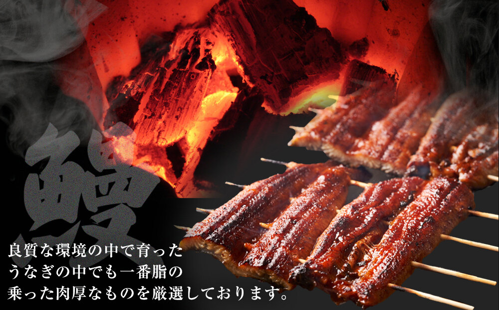 国産特大うなぎ蒲焼き（３尾）