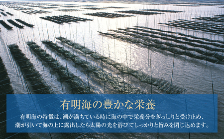 W26-41 【訳あり】福岡有明のり 焼き海苔 全形50枚 【SHINWN】 【fukuchi00】