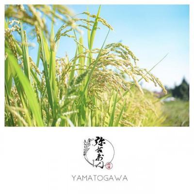 ふるさと納税 喜多方市 令和7年産　熱塩加納産いのちのお米 精米 5kg