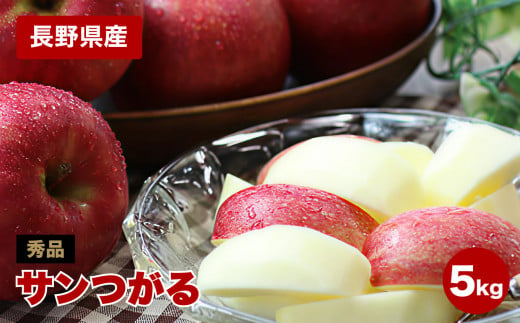 りんごの一番手! 長野県産 りんご(サンつがる)約5kg 秀品〈2026年9月上旬～9月中旬発送〉