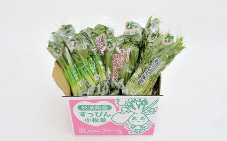 【3ヵ月定期便】すっぴん有機やさいセット(小松菜・水菜・ロメインレタス)【 茨城県 つくば市 定期 定期便 野菜 小松菜 ロメインレタス 野菜 水菜 鍋 鍋もの 野菜 やさい ベジタブル 野菜 有機野