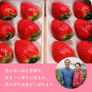 （冷蔵）【定期便全3回】（2月・3月・4月）イチゴ 奈良県産高級ブランド品種「古都華」デラックス（270g×2パック） ／ 上田農園 苺 いちご 果物 フルーツ 甘い 奈良県 田原本町