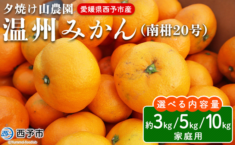 
先行予約 夕焼け山農園 愛媛県西予市産 温州みかん 家庭用 約3kg／5kg／10kg（南柑20号） 果物 フルーツ ミカン 蜜柑 柑橘 なんかん 訳あり うんしゅうみかん ウンシュウ 特産品 愛媛県 西予市 【常温】
