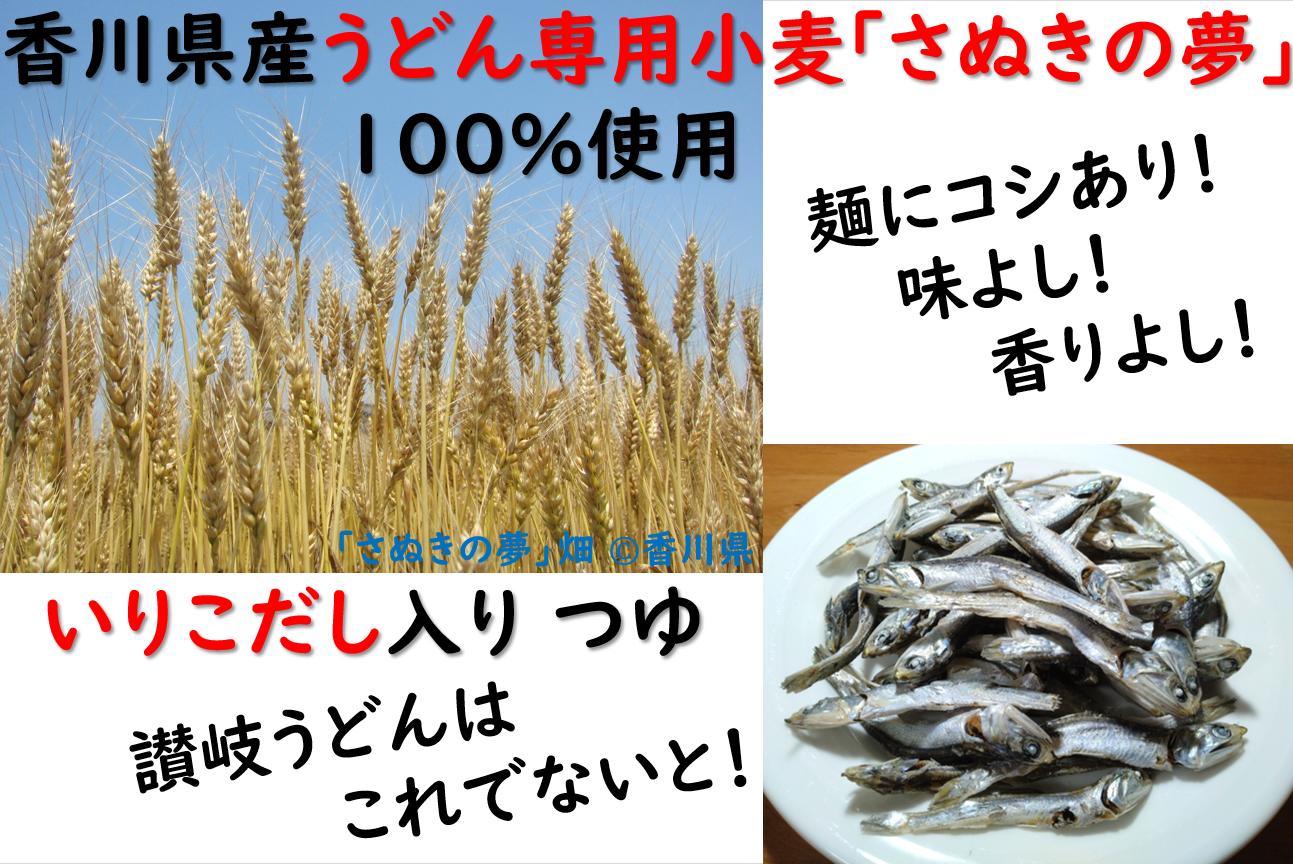 麺棒　「さぬき三昧」讃岐うどんと香川銘産品シリーズ　オリーブ地鶏焼鳥うどんセット