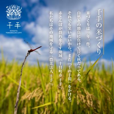 ふるさと納税 十日町市 魚沼産 コシヒカリ 特別栽培米 精米 2kg 産地直送  新潟県十日町市 |  | 01