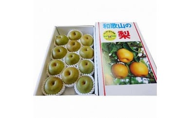 ◆先行予約◆和歌山県産 旬の梨 約4kg【2025年8月中旬以降出荷】［MG75］