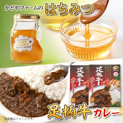 【ふるさと納税】はちみつ&足柄牛カレー2個セット【1565054】