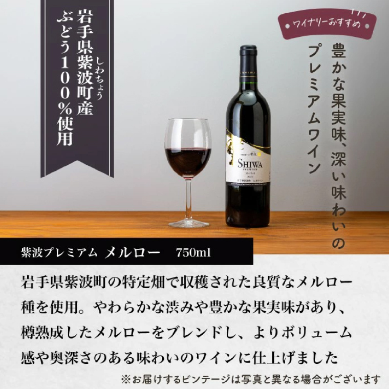 産地限定 ワインぶどう品種使用 自園自醸ワイン紫波 プレミアムワイン2本セット 紫波町産 テロワール ワイン (AL046-1 )