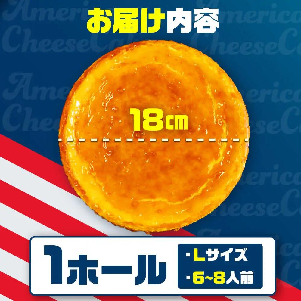 チーズケーキ 『ゴールドプレーン 』Lホール (18cm / 650g) BCBR001 ケーキ
