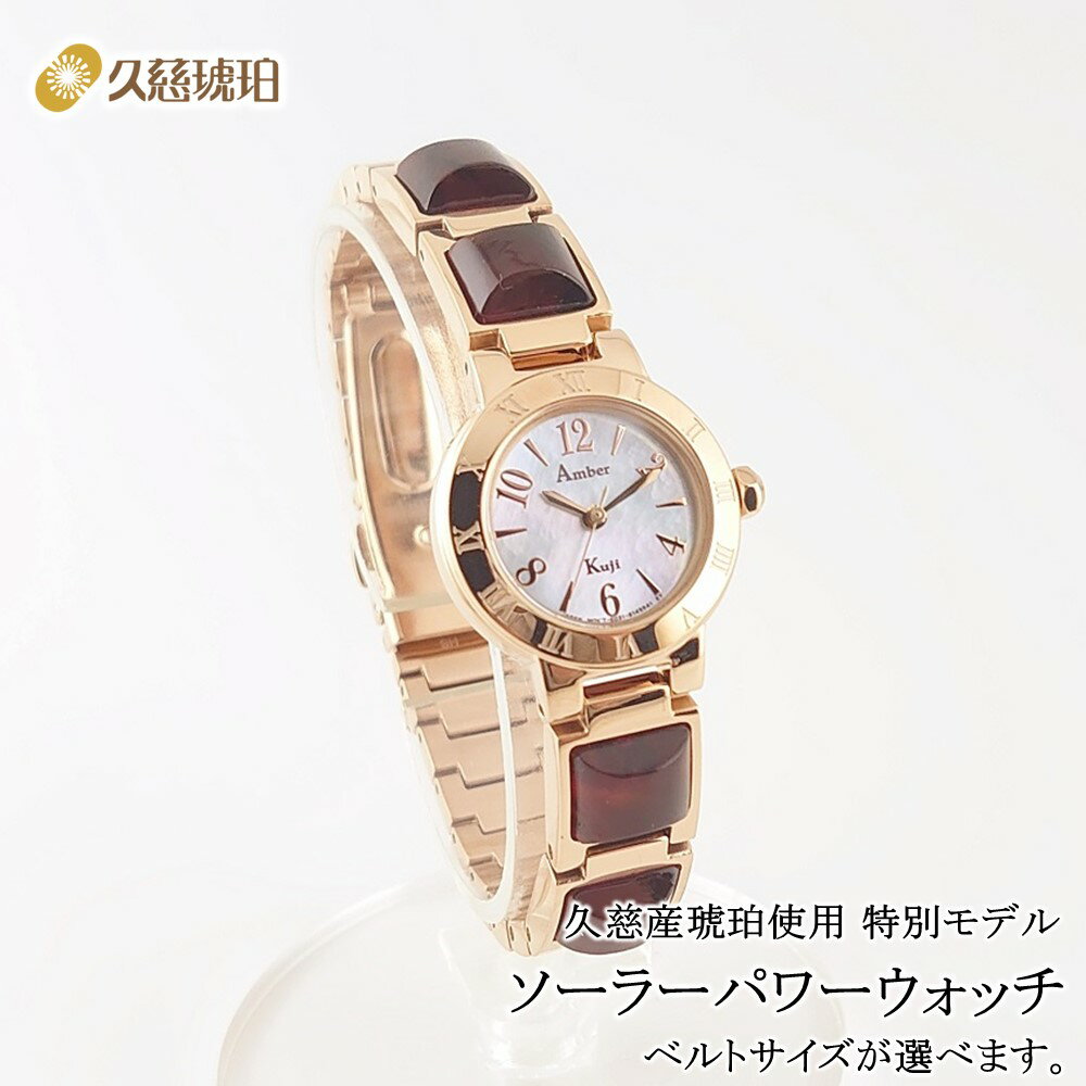 【ふるさと納税】久慈産琥珀使用　ソーラーパワーウォッチ（サイズが選べます。）