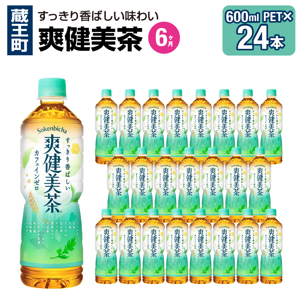 【6か月連続お届け】爽健美茶　600ml PET×24本　【04301-0697】