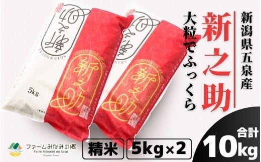 令和7年産 新之助 精米 10kg 新潟県 五泉市 ファームみなみの郷
