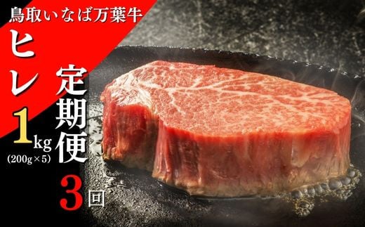 
【定期便３回】鳥取いなば万葉牛 ヒレステーキ 1kg 3回 定期便 国産 牛肉 ヒレ 和牛 黒毛和牛 希少 小分け
