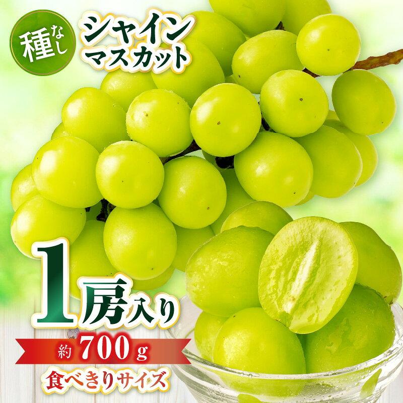 【ふるさと納税】【食べきりサイズ】シャインマスカット　約700g | シャインマスカット マスカット ぶどう ブドウ 葡萄 果物 フルーツ 新鮮 くだもの 国産 ギフト 旬 人気 種なし 皮ごと食べられる ジューシー 糖度が高い 季節限定 おすすめ 旬の果物 香川 香川県 三木町