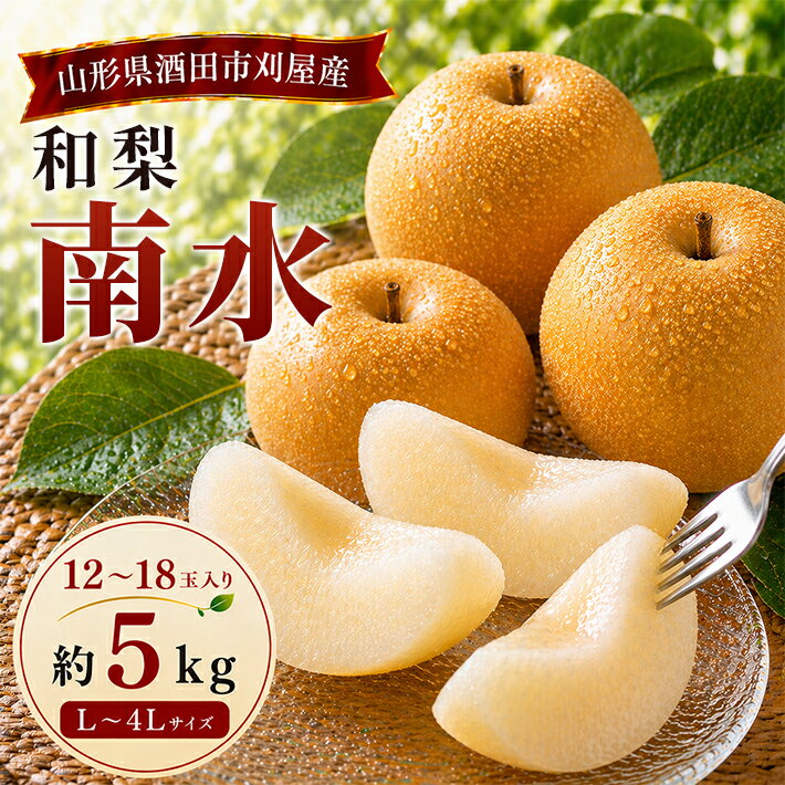 【ふるさと納税】刈屋梨 和梨 南水 約5kg 12～18玉 L～4Lサイズ 山形県酒田産 9月下旬〜10月中旬頃お届け ※着日指定不可 なし 秋 果物 フルーツ お取り寄せ 東北 山形県 酒田市 刈屋産
