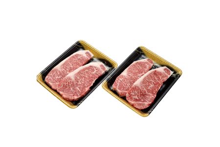 M09-04 博多和牛 サーロインステーキ用740g