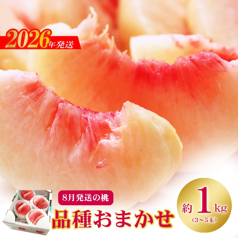 No.2436　8月発送の桃 特秀品約1kg【2026年発送】