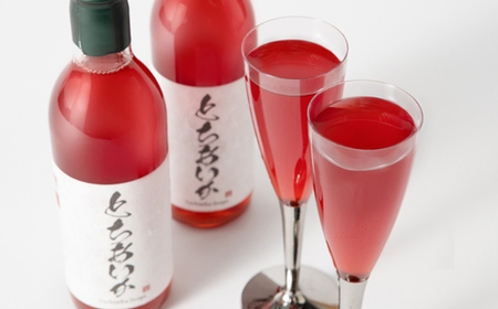 とちあいかドロップス 360ml×2本【1529277】