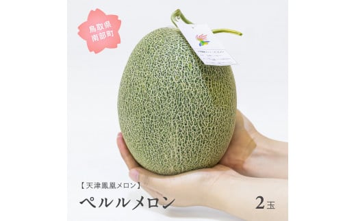 ◆【AM03】天津鳳凰メロン（ペルル・2玉）2025年7月出荷予定＜数量限定＞