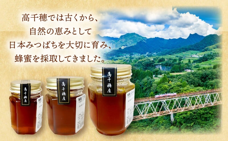 日本みつばち 高千穂の純粋蜂蜜 245g×1本|蜂蜜 はちみつ 日本みつばち 純粋蜂蜜 国産蜂蜜 天然蜂蜜 垂れ蜜 蜜蜂 希少 蜂蜜 濃厚 花 伝統製法 特産品 ふるさと納税 返礼品 宮崎県 高千穂町