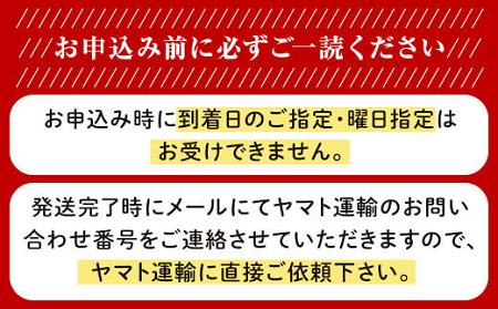 岡山県産いちご「晴苺」秀【2025年2月上旬以降順次発送】