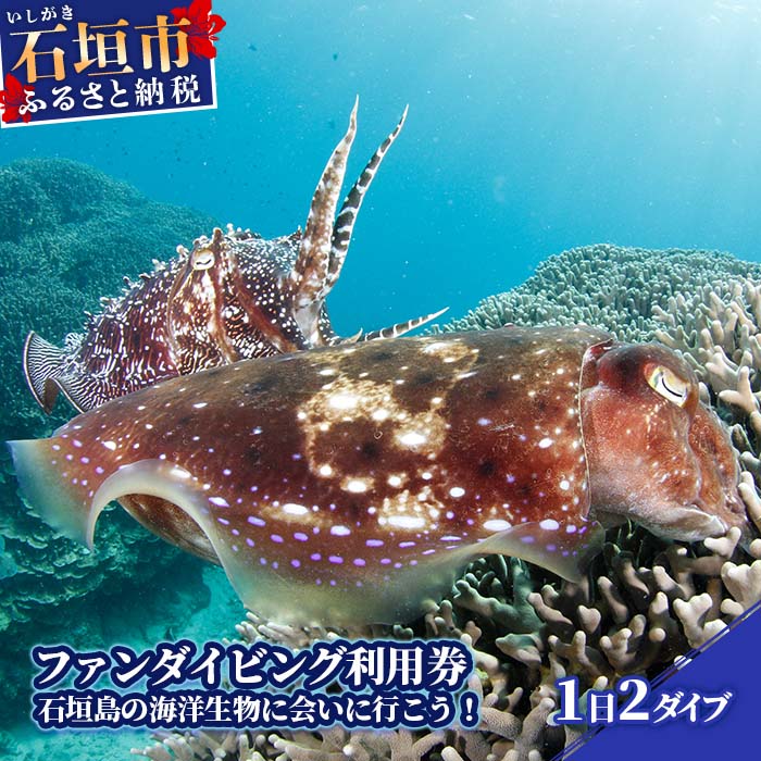 【ふるさと納税】石垣島 マンタやウミガメに会える 1日ファンダイビング利用券 寄付額 70,000円 1日2ダイブ Cカード取得者限定 | ふるさと納税 利用券 ダイビング ふるさと 旅行 観光 体験 チケット クーポン 沖縄県 沖縄 石垣 石垣島 石垣市 人気 送料無料 YD-1-1