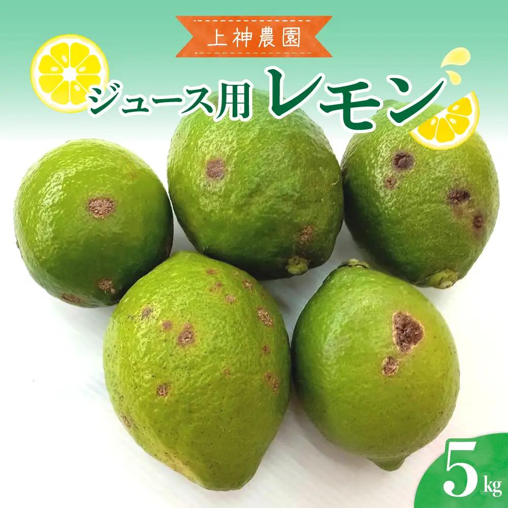 【先行受付】【2026年11月～発送】ジュース用 レモン 約5kg 