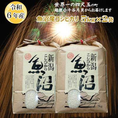 ふるさと納税 小千谷市 令和7年産 魚沼産コシヒカリ10kg(5kg×2袋) 四尺玉花火の町小千谷市片貝町 米萬商店