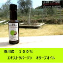 【ふるさと納税】オリーブ 掛川産 ★ 数量限定 ★エキストラバージン オリーブオイル 100ml×1本 マルコポーロジャポン （ エキストラ 国産 掛川市 ）