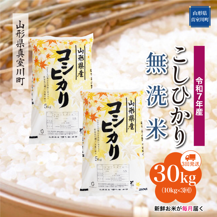 ＜令和7年産米＞ こしひかり 【無洗米】30kg定期便 (10kg×3回)　配送時期指定できます！ 山形県真室川町
