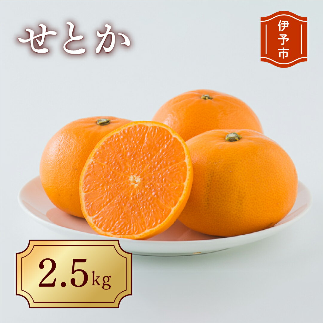 【ふるさと納税】みかん 愛媛 せとか（約2.5kg）L～3Lサイズ ご家庭用 バラ詰め 【2月中旬から順次発送予定】 人気 数量限定 先行予約 みきゃん箱 柑橘 伊予市｜B192