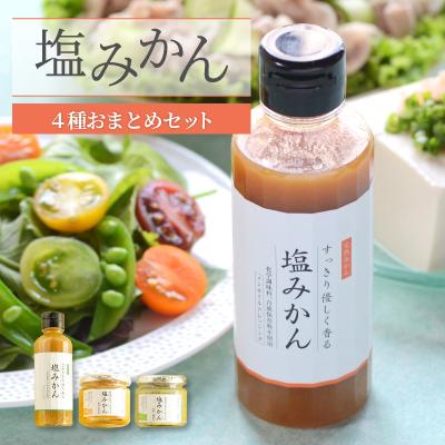 ふるさと納税 八幡浜市 みかんがふわっと香るワンランク上のお料理に!愛媛の新しい調味料 塩みかん4種セット【C25-65】